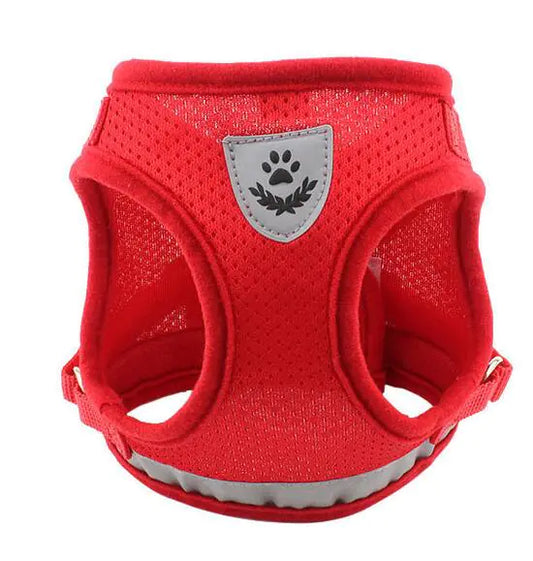 Fluorescent Harness for Small to Medium Dogs